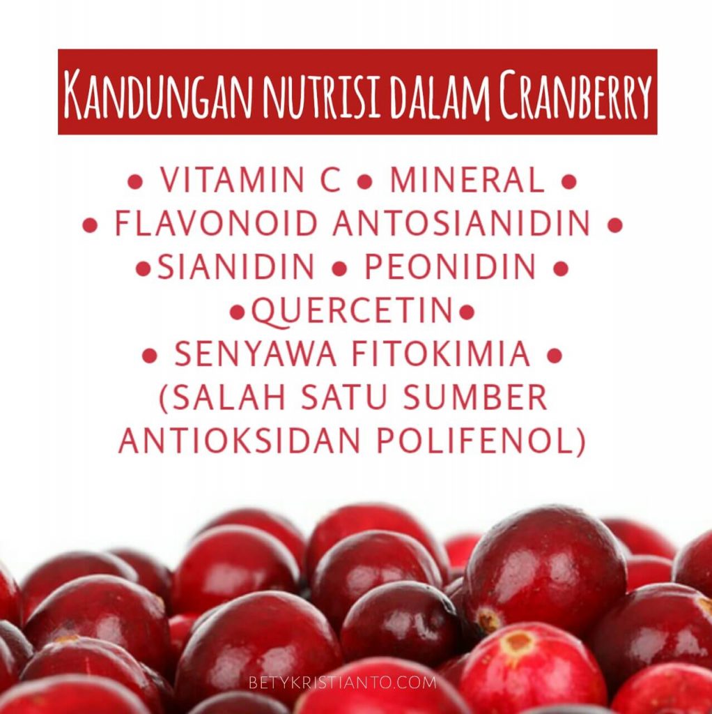 Kandungan nutrisi pada cranberry