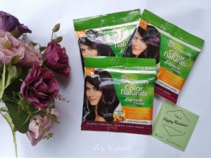 Garnier Color Naturals Express Cream Garnier Color Naturals Express Cream