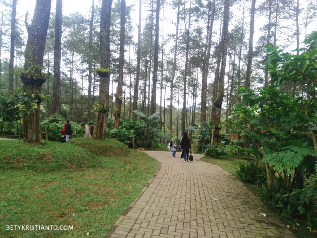 Orchid forest Cikole Lembang Bety Kristianto