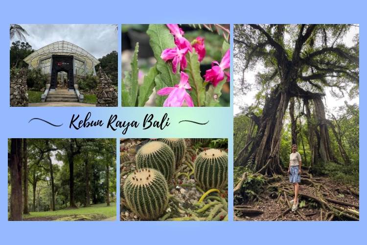 Kebun Raya Bali