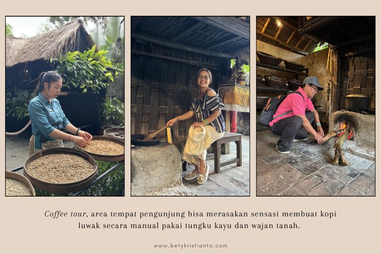 coffee tour alas harum