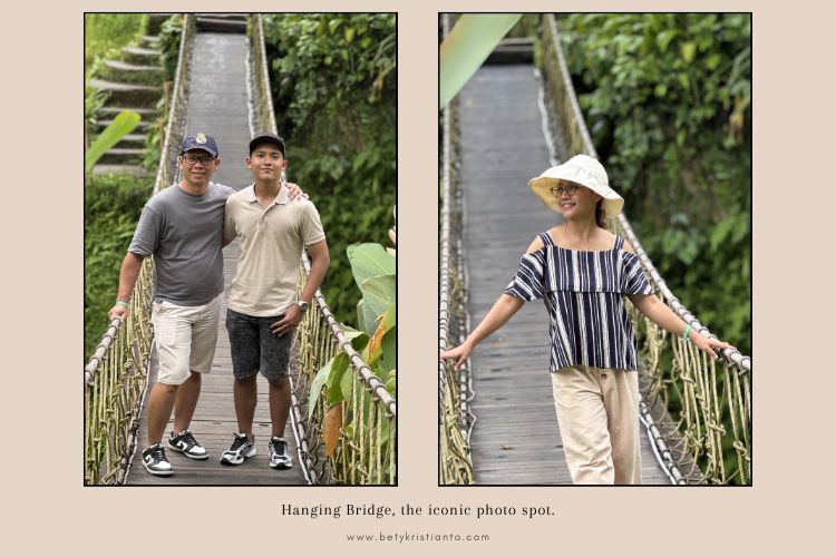 hanging bridge