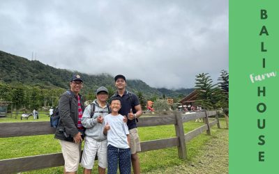 Angon Bocah di Farm House Bali, Wahana Sejuk di Bali Utara